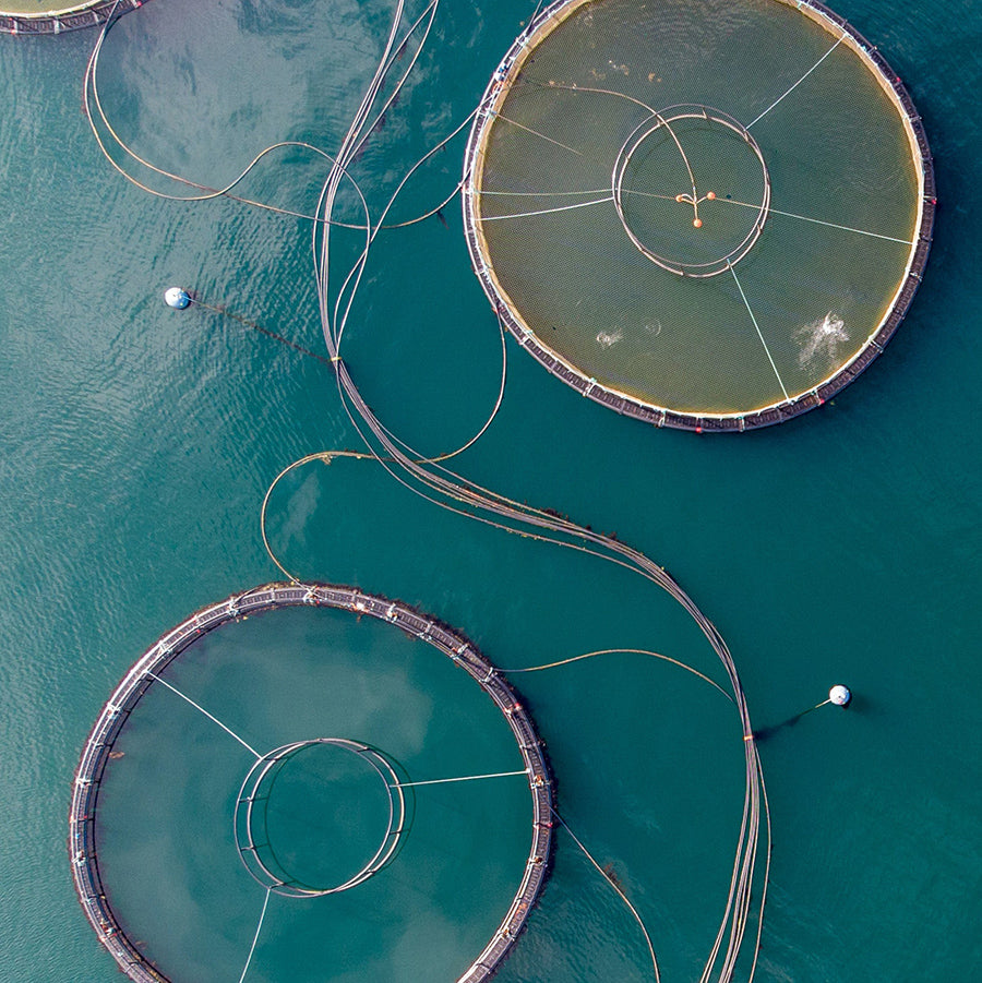 Aquaculture Rope
