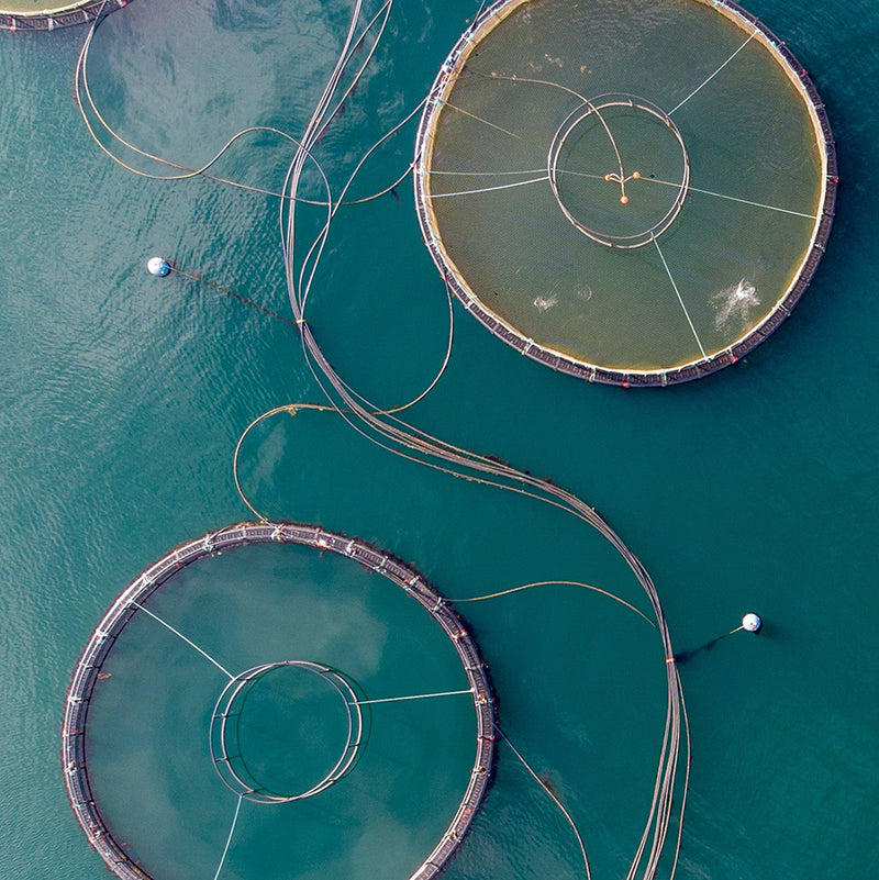 Southern Ropes' Aquaculture & Fishing Rope